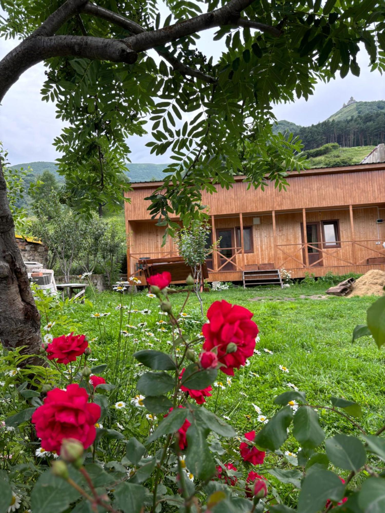 Family Hostel Nika Kazbegi Bagian luar foto